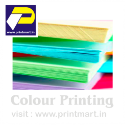 Color Printing PrintMart 048 45.0x56.0 LightGreen Matt